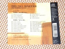 廃盤 シューマン 女の愛と生涯 詩人の恋 ロッテ レーマン ブルーノ ワルター ニューヨークフィル の芸術 SRCR 8737 BRUNO WALTER SHUMANN_画像3