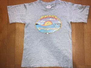 ビンテージ80sツアーTシャツ California pismobeach半袖Tシャツ