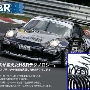 H&R ダウンサス VW ポロ 6R 6RCBZ 6RCPT 6RCGG GTiを除く 09/6～ フォルクスワーゲン Volkswagen ワーゲン 送料無料の画像3