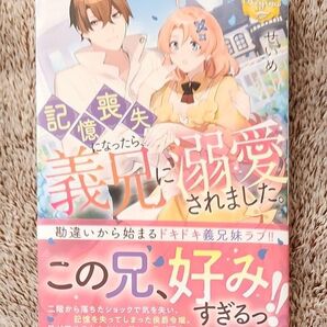 記憶喪失になったら、義兄に溺愛されました。