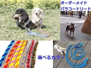 犬のリード【青＆ベージュMIX】パラコードオリジナル制作ペットリード 軽い丈夫ほどくと8mの非常用強力ロープに　パラシュートコード利用