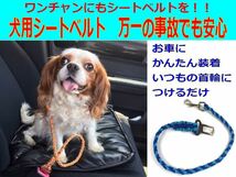 犬のリード【ライトブルー＆レインボー】パラコード手作りペットリード 軽い丈夫ほどくと8mの非常用強力ロープに　パラシュートコード利用 _画像9