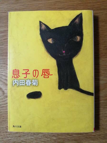 息子の唇（角川文庫）／内田春菊