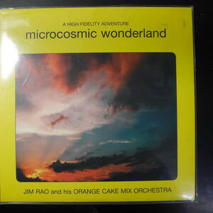 アナログ ●輸入盤・新品～ Orange Cake Mix Microcosmic Wonderland /レーベル:AudioInformationPhenomena AIP 008