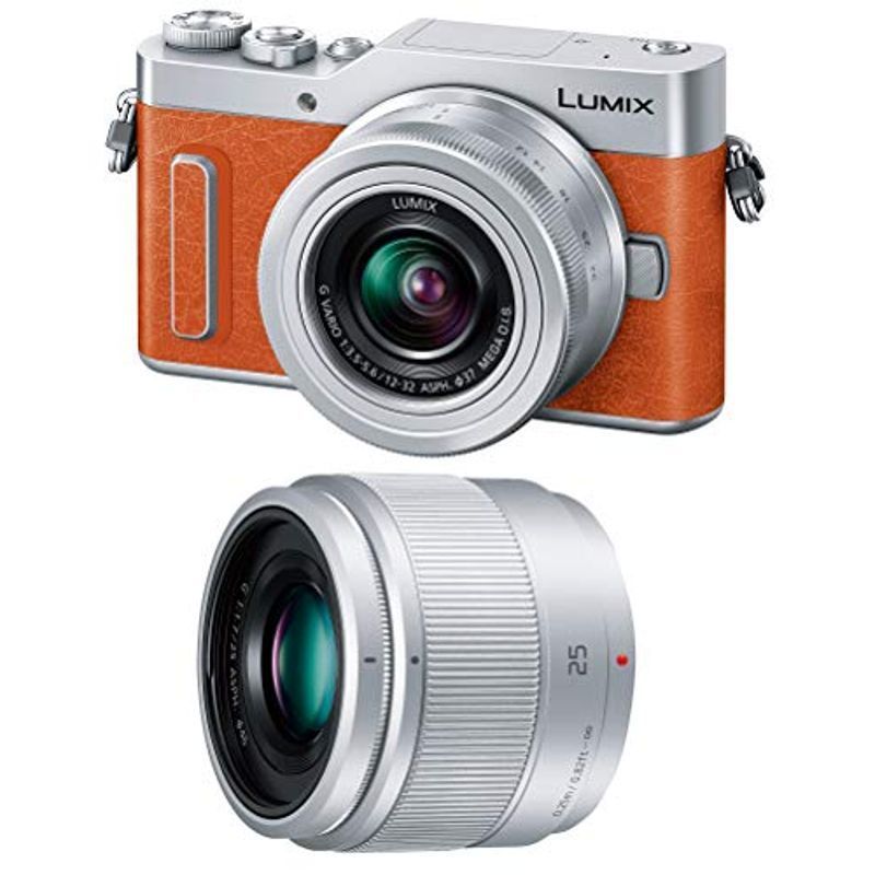 パナソニック LUMIX DC-GF10W ダブルレンズキット オークション パナソニック LUMIX DC-GF10W ダブルレンズキット オークション