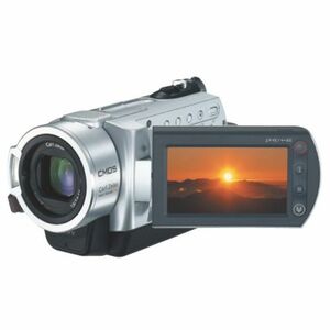 ソニー SONY Handycam デジタルビデオカメラレコーダー(40GB) DCR-SR300