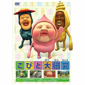 こびと大研究 DVD