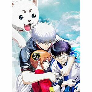 銀魂 THE FINAL(完全生産限定版) DVD