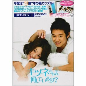 キツネちゃん、何しているの? DVD-BOXII