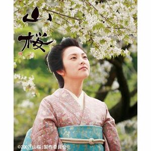 山桜 初回限定版 DVD