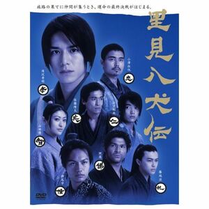 里見八犬伝 DVD-BOX