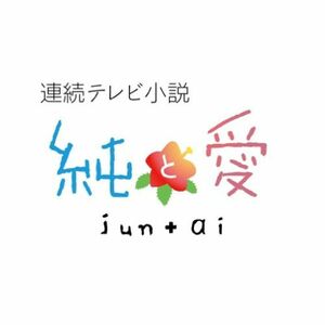 連続テレビ小説 純と愛 総集編 DVD