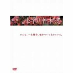 小早川伸木の恋 DVD-BOX