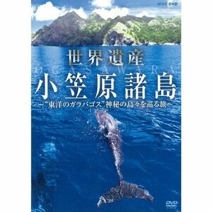 世界遺産 小笠原諸島 “東洋のガラパゴス” 神秘の島々を巡る旅NHKスクエア限定商品 DVD