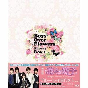 花より男子?Boys Over Flowers ブルーレイBOX1 Blu-ray