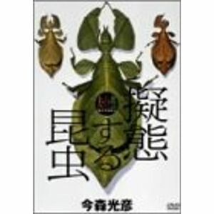 大自然ライブラリー 「擬態する昆虫」 DVD