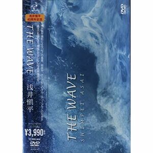 THE WAVE DVD
