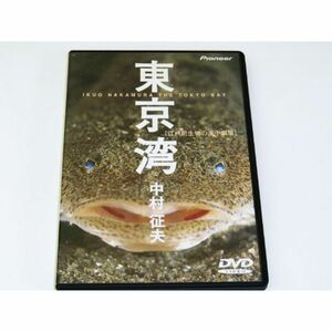 東京湾 DVD
