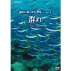 青のドキュメンタリー Vol.1 群れ-Fish School- DVD