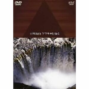 人類起源の大地に滝が流れる 白川義員アフリカを撮る DVD