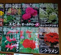 古本530■NHK趣味の園芸15冊+他2冊セット■新鮮野菜づくり　山田貴義　ばら_画像2