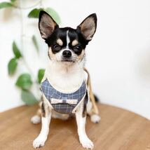 L チェック リボン ハーネス リード セット (青) 犬服 猫服 ドッグウェア ペット用品 小型犬 犬の服 軽い_画像2