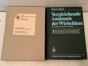 i640 洋書 Vergleichende Anatomie der Wirbeltiere auf evolutionsbiologischer Grundlage 3 1982年 　2Ha1