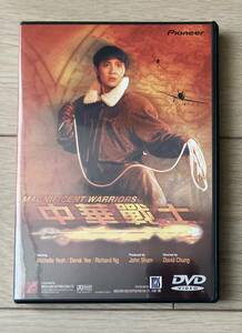 廃盤 中華戦士 DVD デヴィッド・チャン ミシェール・ヨー リチャード・ウン 貴重品