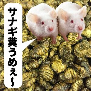 小動物 ネズミのおやつ 乾燥サナギ 400g 送料無料 小さなネズミでも食べ易いフレーク加工も有ります