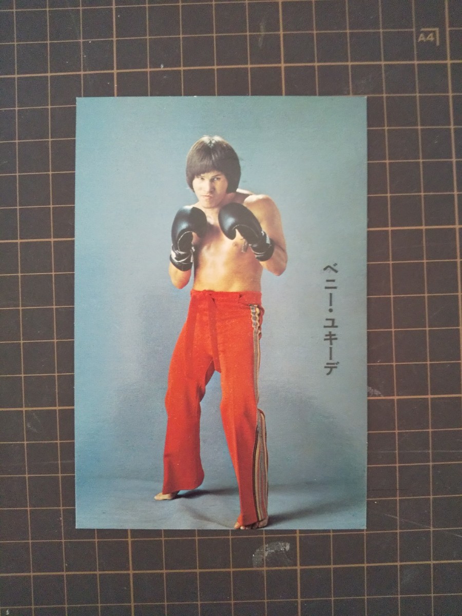ヤフオク! -ベニーユキーデの中古品・新品・未使用品一覧