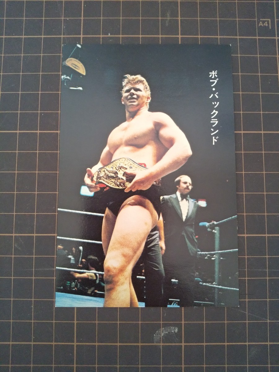 ヤフオク! -「格闘技世界一決定戦」の落札相場・落札価格