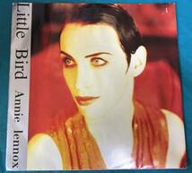 7”●Annie Lennox / Little Bird europeオリジナル盤 RCA 74321 12883 7_画像1