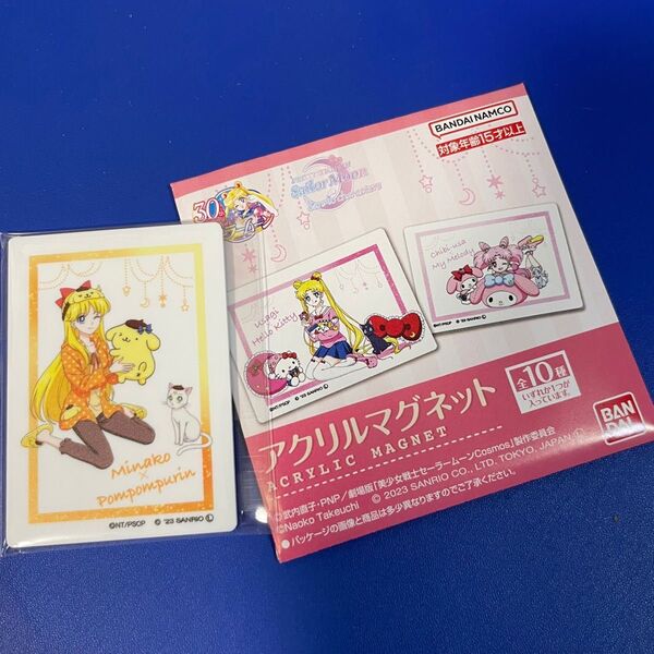 セーラームーン サンリオ アクリルマグネット 磁石 ヴィーナス ポムポムプリン 愛野美奈子 マグネット
