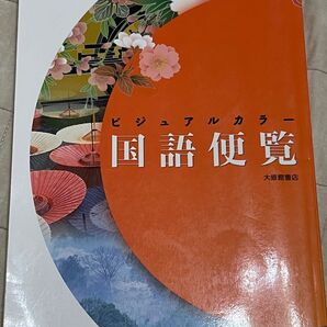 ビジュアルカラー 国語便覧 大修館書店