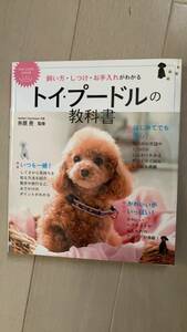  toy poodle. textbook 