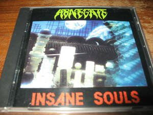 ＜スラッシュ/THRASH＞ABNEGATE/insane souls