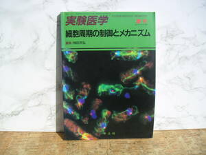 ∞　実験医学　増刊　細胞周期の制御とメカニズム　●製本に、反り有り●　１９９３年　２刷