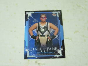 BBM11 アジャコング HALL OF FAME 女子プロレス