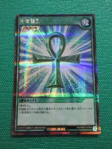 『遊戯王ラッシュデュエル』　RD/SBD0-JP004　シークレット　死者蘇生　②-2