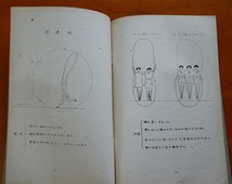 縄跳運動　面白く易しく健康によい　昭和8年　文部省体育課内奨健会　　：体操・縄跳び遊戯・縄跳び普及奨励・一人でも大勢でも可全身運動_画像9