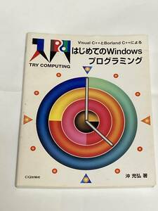 はじめてのＷｉｎｄｏｗｓプログラミング　Ｖｉｓｕａｌ Ｃ＋＋とＢｏｒｌａｎｄ Ｃ＋＋による （入門ＴＲＹ　ＣＯＭＰＵＴＩＮＧ）沖充弘