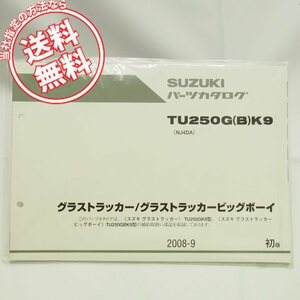 ネコポス送料無料1版新品TU250GK9/TU250GBK9パーツリストNJ4DAグラストラッカー/ビッグボーイ2008-9