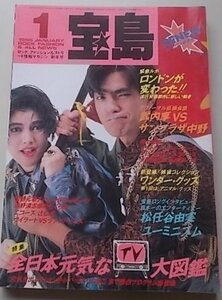 宝島　1986年1月号　武内享　サンプラザ中野　松任谷由実　佐野元春　忌野清志郎他