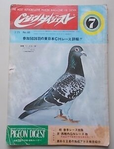  Pigeon большой je -тактный 1971 год 7 месяц номер No.60 специальный выпуск :.* весна сезон гонки специальный выпуск / восток * запад . внутри GN гонки др. 