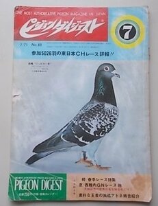 ピジョンダイジェスト　1971年7月号No.60　特集：続・春季レース特集/東・西稚内GNレース他　