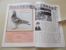 ピジョンダイジェスト　1978年4月号NO.141　特集：日本を代表する小曾根清隆鳩舎/島村鳩舎と田中鳩舎のパワーの秘密！他_画像5