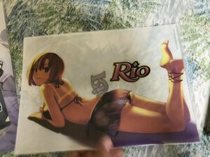 145クリアファイル　パチスロ　Rio　リオ　テクモ　Rio　水着