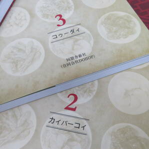 新装版 中華料理百科事典 同朋舎新社 全6巻 別巻 定価220000円の画像6