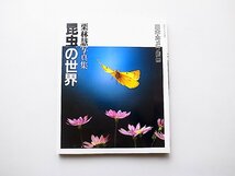 昆虫の世界―栗林慧写真集（日本カメラ別冊,1985年）_画像1