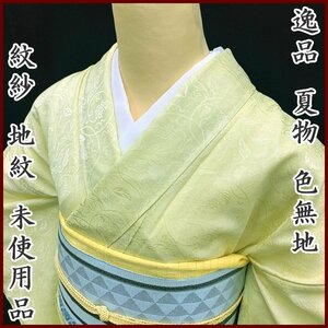 【売り尽くしSALE!!】〇きものマーチ〇逸品 夏物 色無地 紋紗 地紋 居敷当て付き〇しつけ付き未使用美品 304mi66